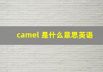 camel 是什么意思英语